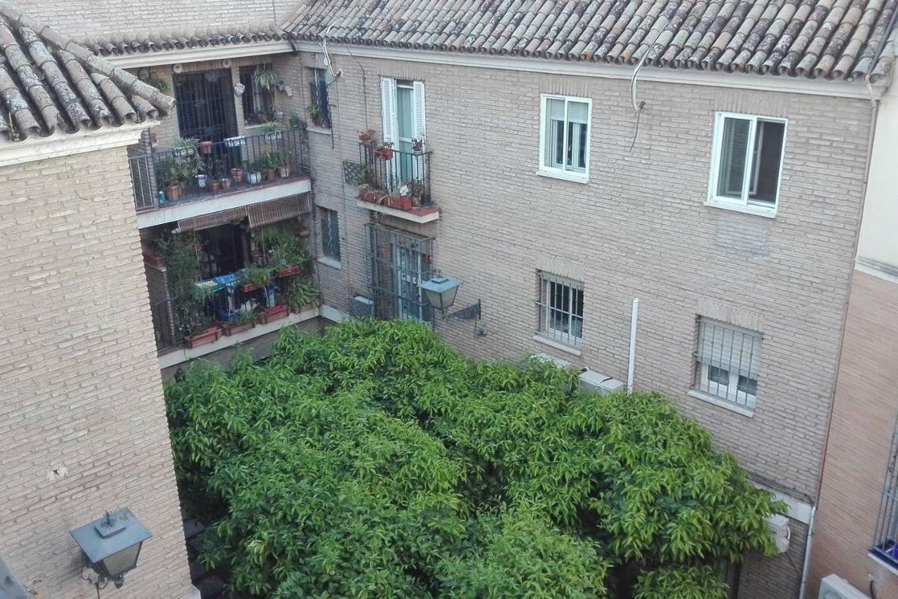 Alfalfa Home Севиля Екстериор снимка